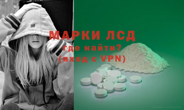 ГАЛЛЮЦИНОГЕННЫЕ ГРИБЫ Абаза