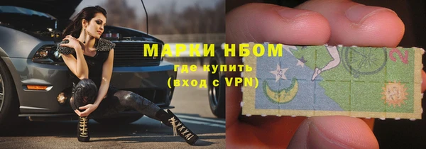 ГАЛЛЮЦИНОГЕННЫЕ ГРИБЫ Абаза
