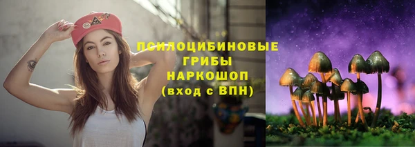 ALPHA PVP Алзамай